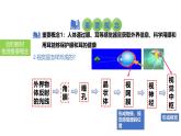2025中考生物一轮复习课件 第19讲 人体对外界环境的感知、神经系统的组成课件