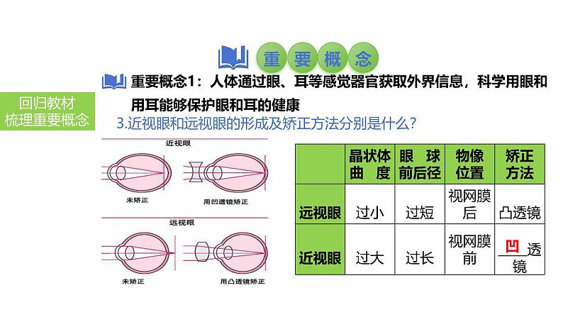 2025中考生物一轮复习课件 第19讲 人体对外界环境的感知、神经系统的组成课件第5页