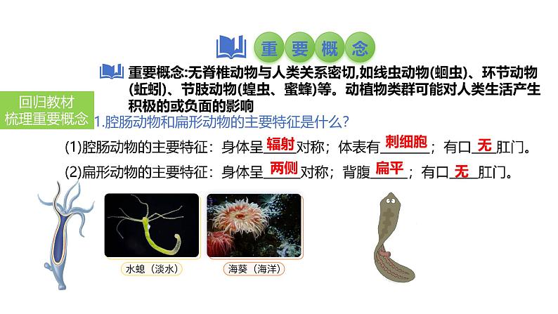 2025中考生物一轮复习课件 第21讲 动物的类群—无脊椎动物课件第3页