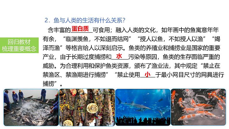 2025中考生物一轮复习课件 第22讲 动物的类群—脊椎动物课件第4页