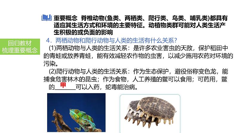 2025中考生物一轮复习课件 第22讲 动物的类群—脊椎动物课件第6页