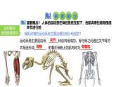 2025中考生物一轮复习课件 第23讲 动物的运动、行为及再生物圈中的作用课件