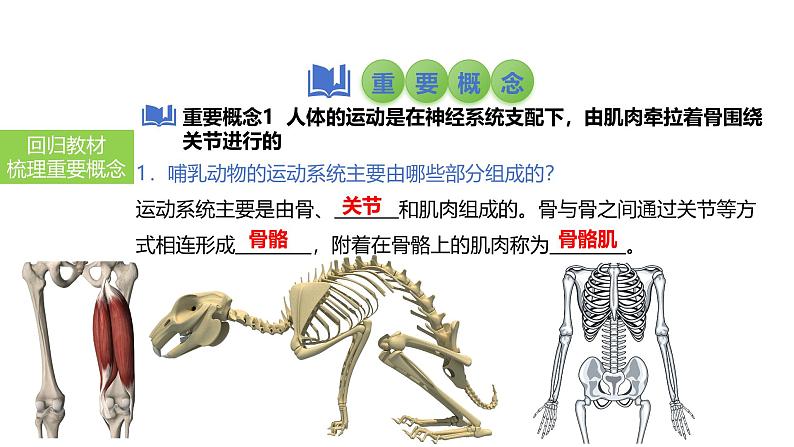 2025中考生物一轮复习课件 第23讲 动物的运动、行为及再生物圈中的作用课件第3页