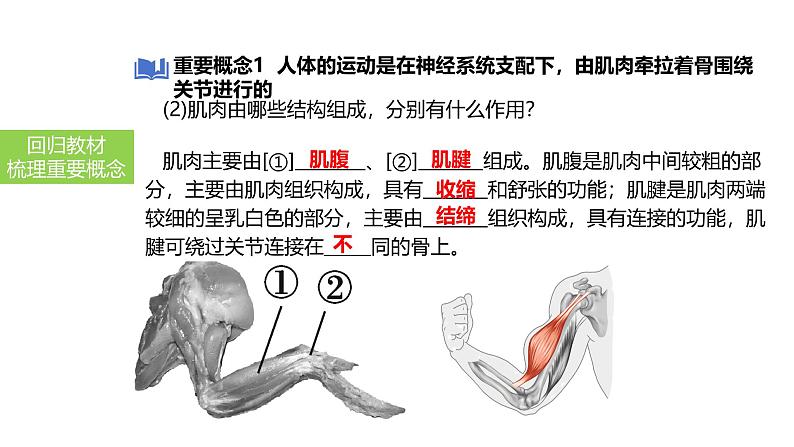 2025中考生物一轮复习课件 第23讲 动物的运动、行为及再生物圈中的作用课件第5页