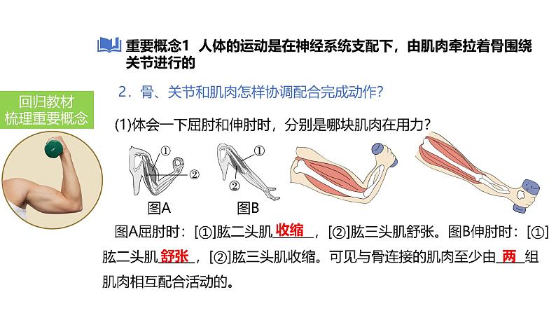 2025中考生物一轮复习课件 第23讲 动物的运动、行为及再生物圈中的作用课件第7页