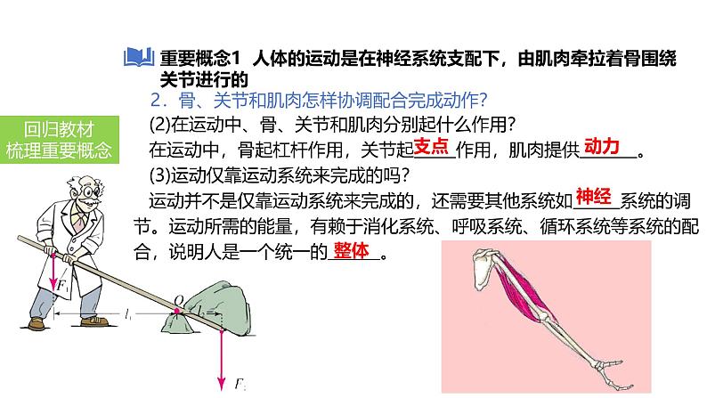 2025中考生物一轮复习课件 第23讲 动物的运动、行为及再生物圈中的作用课件第8页