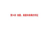 2025中考生物一轮复习课件 第24讲 细菌、真菌和病毒的特征课件