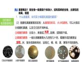 2025中考生物一轮复习课件 第24讲 细菌、真菌和病毒的特征课件