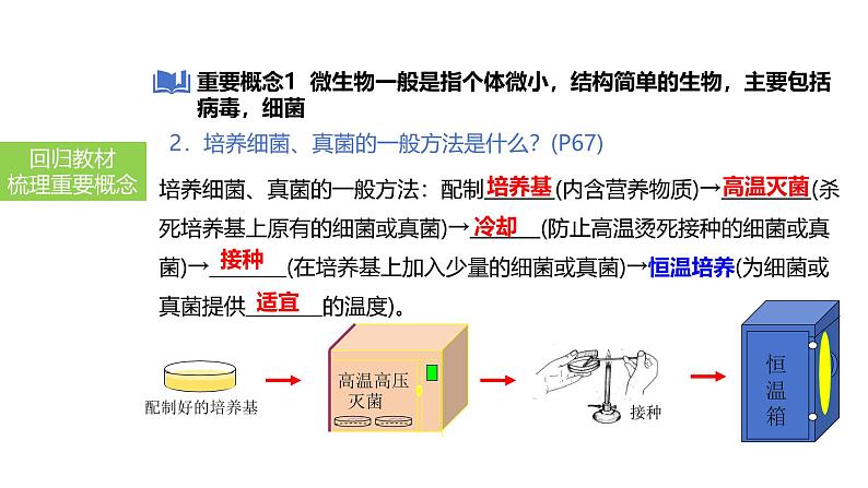 2025中考生物一轮复习课件 第24讲 细菌、真菌和病毒的特征课件05