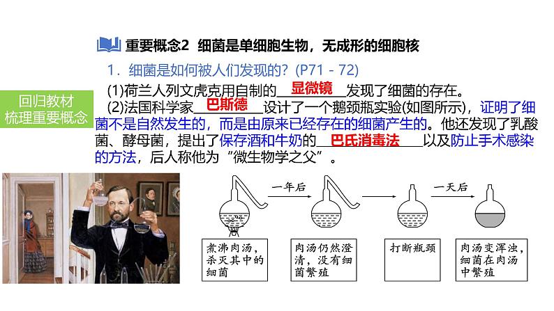 2025中考生物一轮复习课件 第24讲 细菌、真菌和病毒的特征课件08