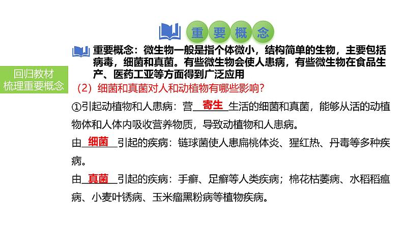 2025中考生物一轮复习课件 第25讲 细菌和真菌在自然界中的作用以及人类对细菌和真菌的利用第6页