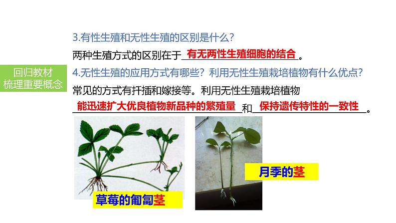 2025中考生物一轮复习课件 第27讲 植物的生殖和发育课件07