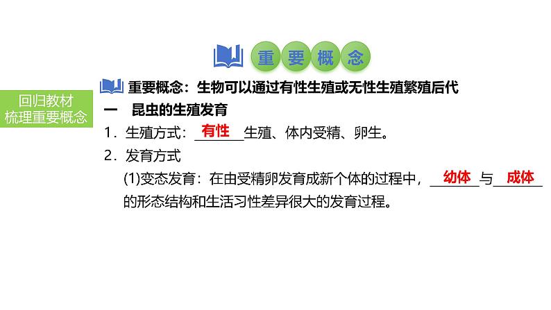 2025中考生物一轮复习课件 第28讲 动物的生殖和发育课件第4页