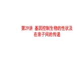 2025中考生物一轮复习课件 第29讲 基因控制生物的性状及在亲子间的传递课件