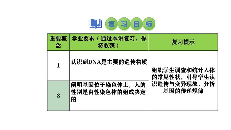 2025中考生物一轮复习课件 第29讲 基因控制生物的性状及在亲子间的传递课件第2页