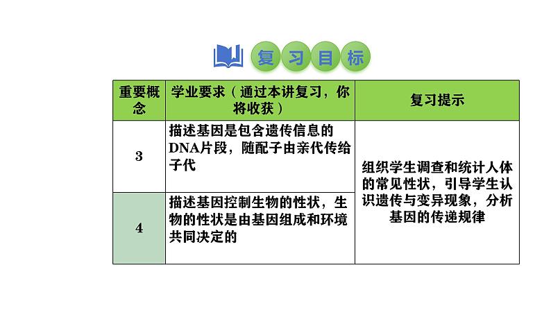 2025中考生物一轮复习课件 第29讲 基因控制生物的性状及在亲子间的传递课件第3页