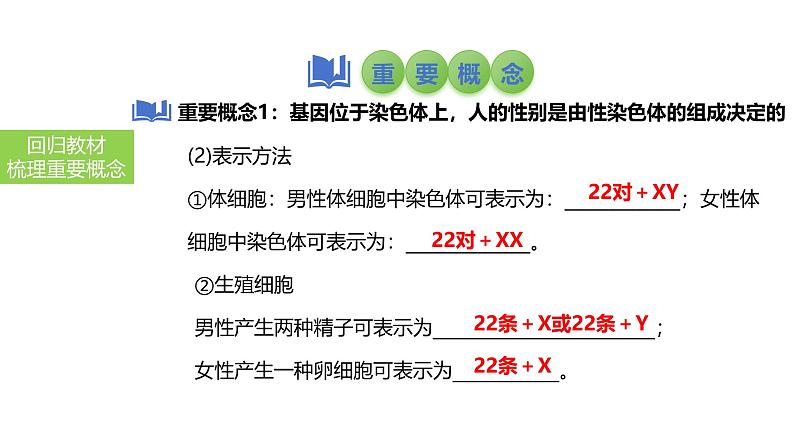 2025中考生物一轮复习课件 第31讲 人的性别遗传与生物的变异课件04