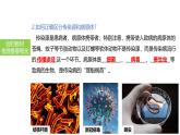 2025中考生物一轮复习课件 第33讲 传染病及其预防课件