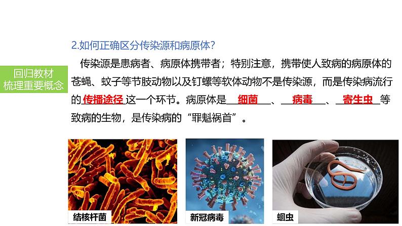 2025中考生物一轮复习课件 第33讲 传染病及其预防课件05