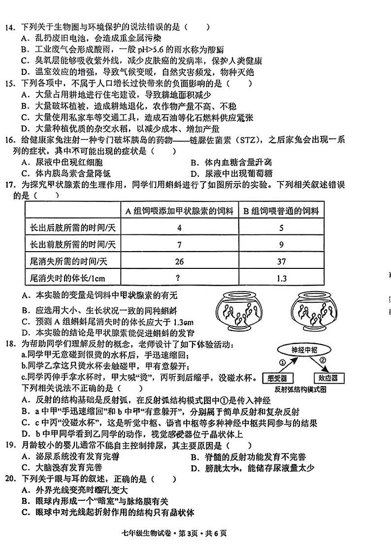 安徽省铜陵市义安区2023-2024学年七年级下学期期末生物题03