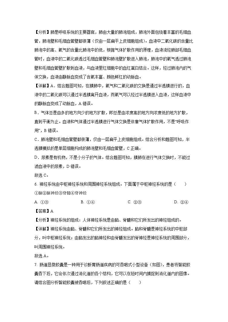 [生物]四川省绵阳市梓潼县五校联考2024-2025学年八年级上学期开学试题(解析版)03