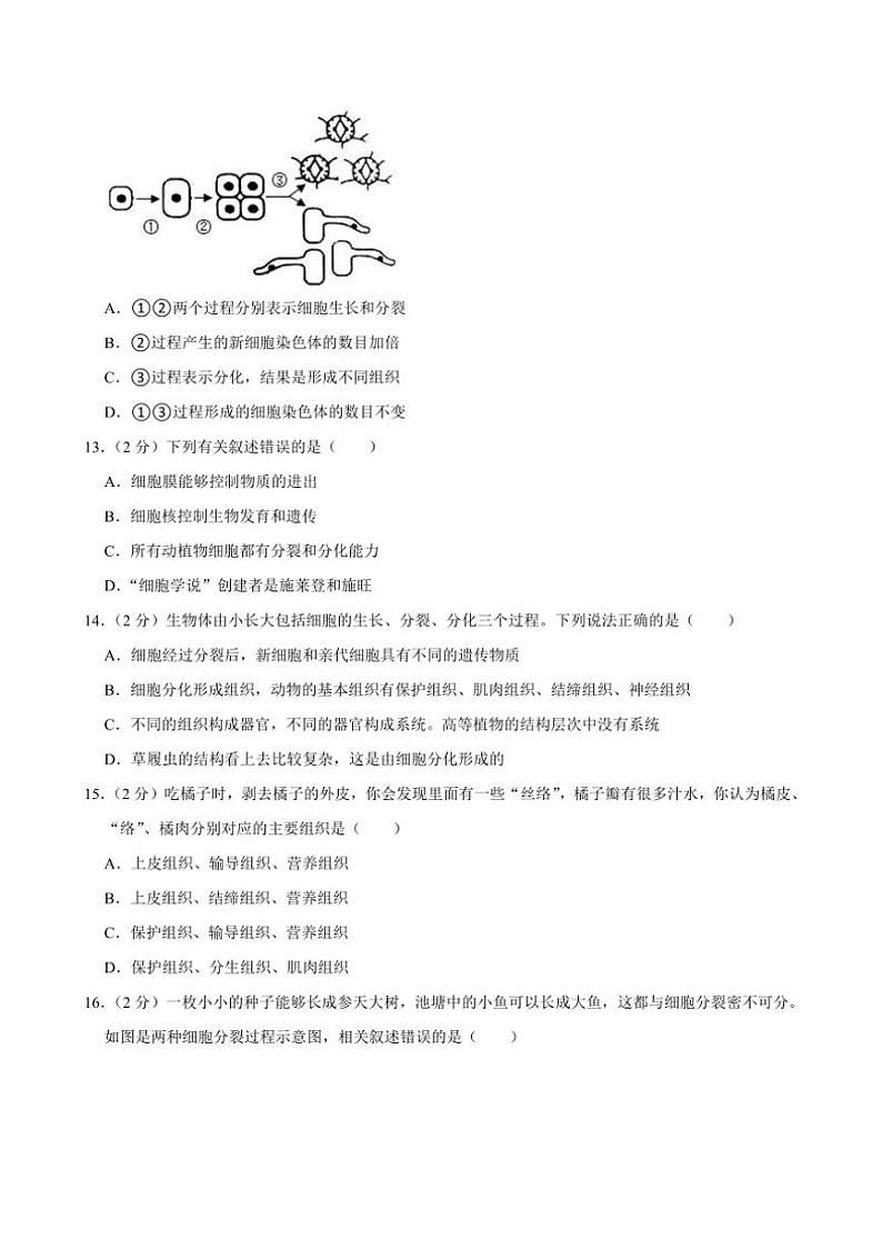 [生物][期末]重庆市武隆区江口中学校2022～2023学年七年级上学期期末试题(有答案)第3页