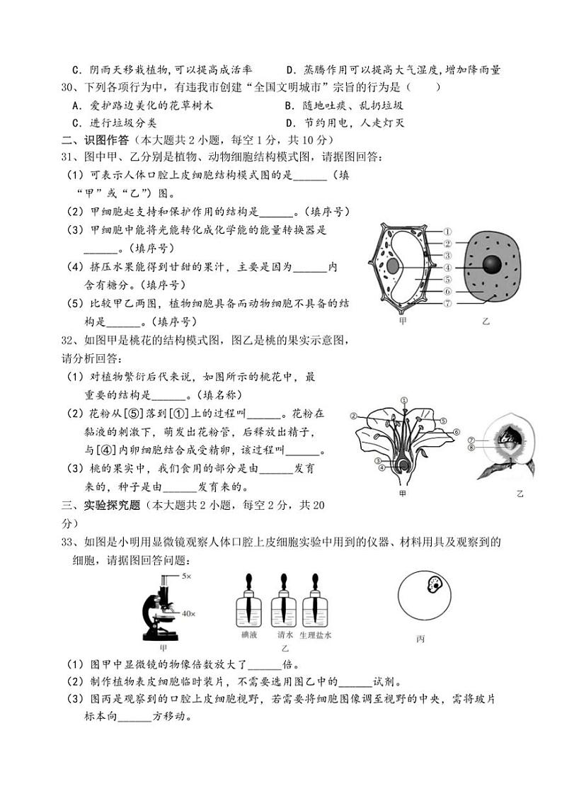 [生物][期末]湖南省湘西土家族苗族自治州溶江中学2023～2024学年七年级上学期期末考试试题(有答案)第3页