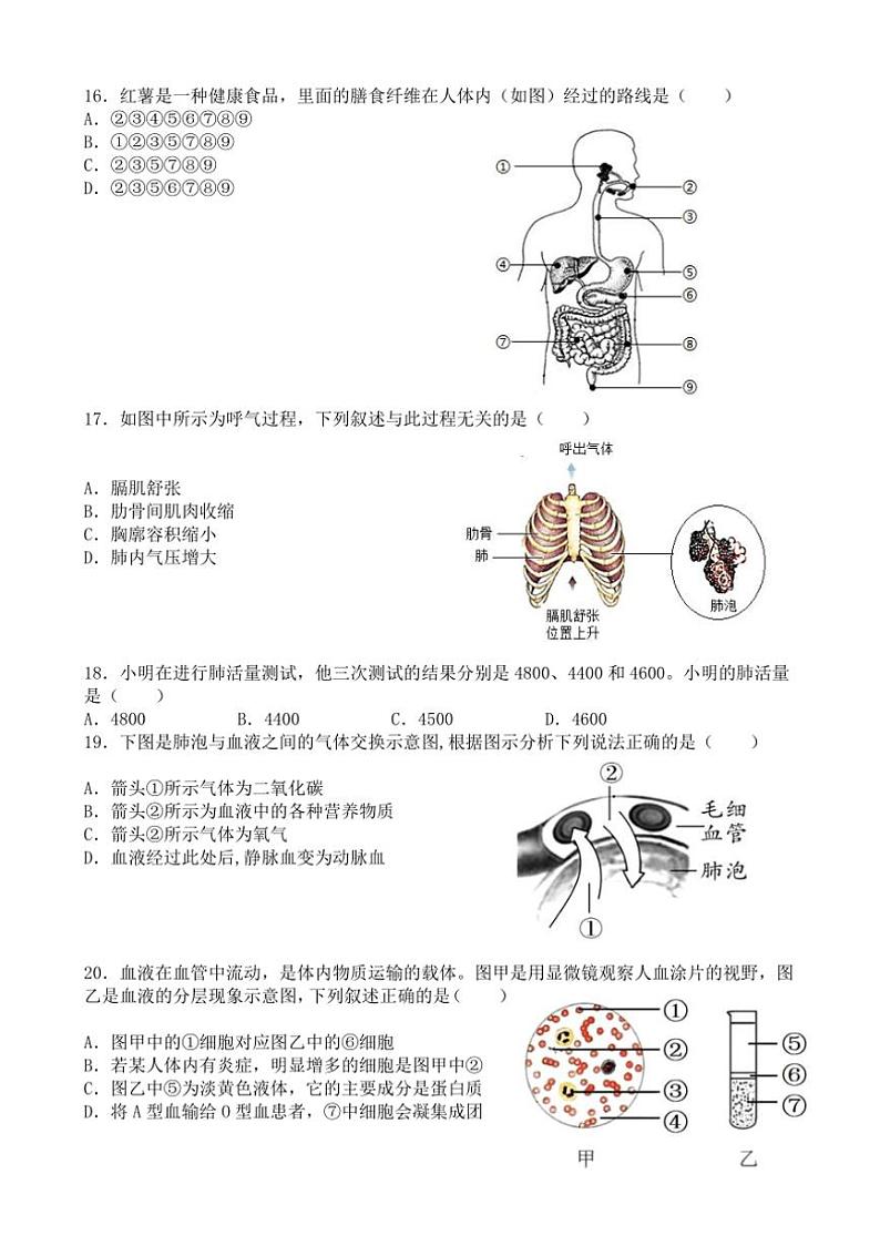 [生物]广东省茂名市高州市荷花第一中学2024～2025学年八年级上学期开学试题(有答案)第3页