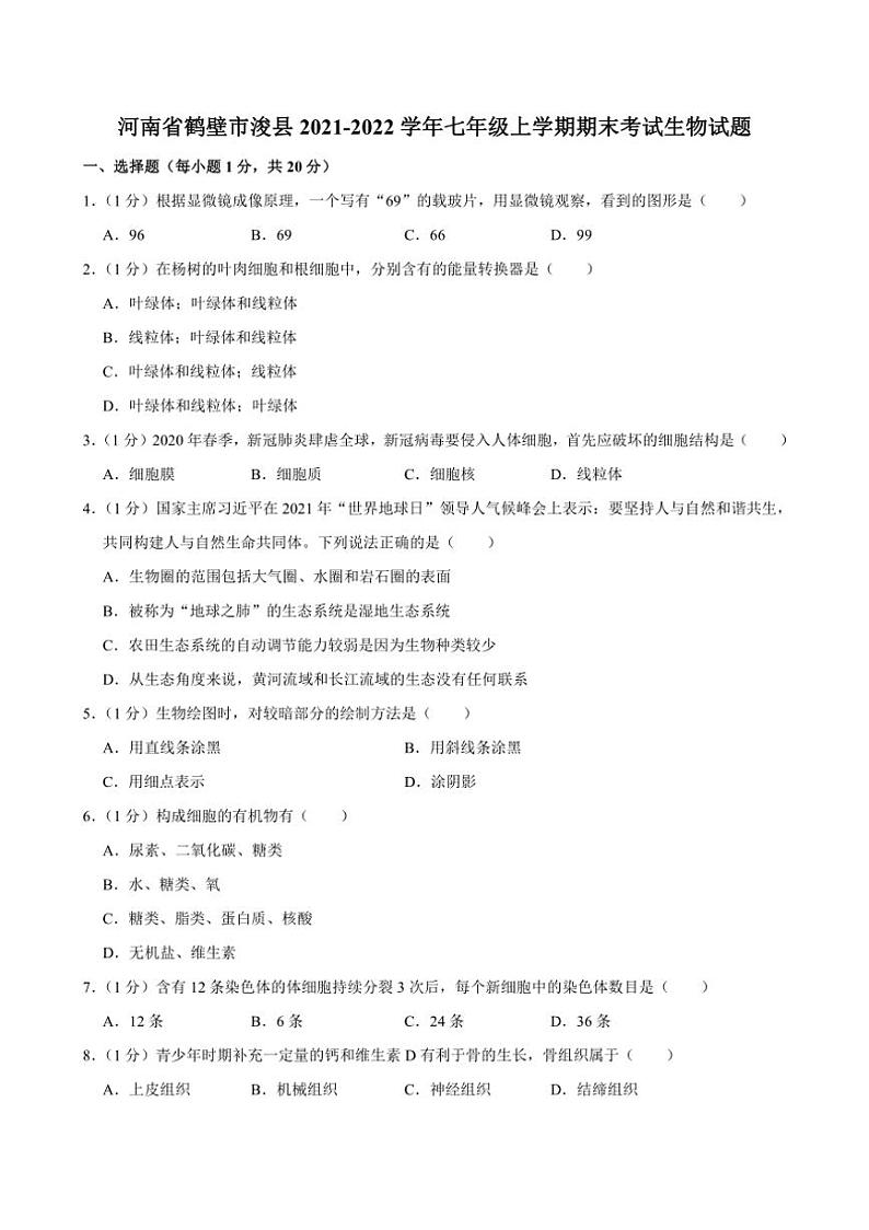 [生物][期末]河南省鹤壁市浚县2021～2022学年七年级上学期期末考试试题(有答案)01