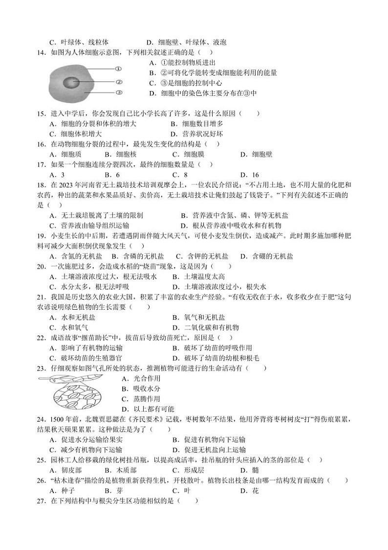 [生物][期末]广东省惠州市第一中学教育集团2023～2024学年七年级上学期期末考试试题(有答案)02