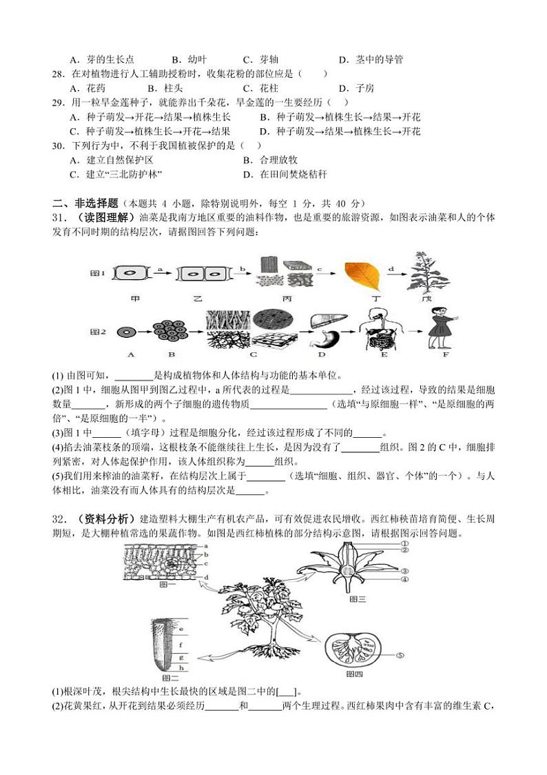 [生物][期末]广东省惠州市第一中学教育集团2023～2024学年七年级上学期期末考试试题(有答案)03