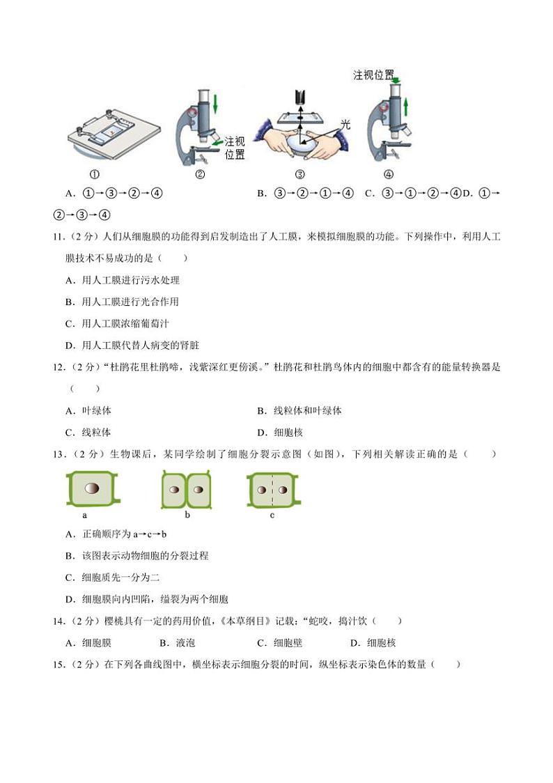 [生物][期中]广西壮族自治区来宾市2023～2024学年七年级上学期期中试卷(有解析)03