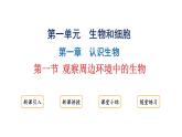 1.1.1观察周边环境中的生物课件2024-2025学年人教版（2024）生物七年级上册