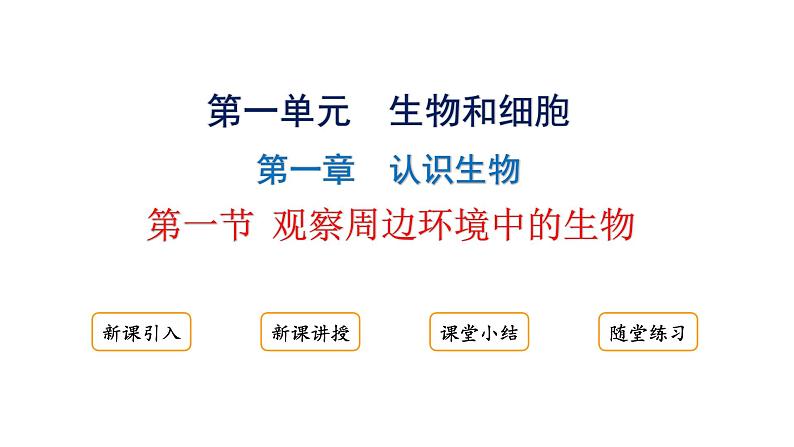 1.1.1观察周边环境中的生物课件2024-2025学年人教版（2024）生物七年级上册01