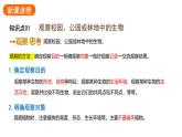 1.1.1观察周边环境中的生物课件2024-2025学年人教版（2024）生物七年级上册