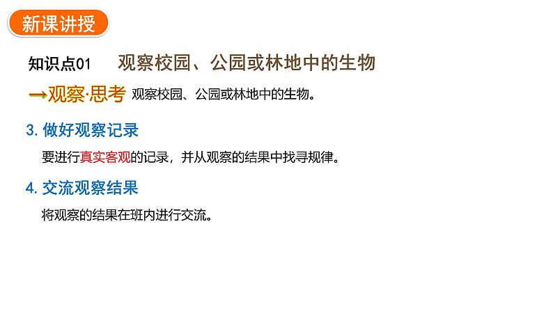 1.1.1观察周边环境中的生物课件2024-2025学年人教版（2024）生物七年级上册05