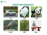 1.1.2生物的特征 课件2024-2025学年人教版（2024）生物七年级上册