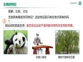 1.1.2生物的特征 课件2024-2025学年人教版（2024）生物七年级上册