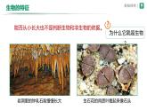 1.1.2生物的特征 课件2024-2025学年人教版（2024）生物七年级上册