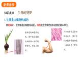 1.1.2生物的特征课件2024-2025学年人教版（2024）生物七年级上册
