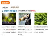 1.1.2生物的特征课件2024-2025学年人教版（2024）生物七年级上册