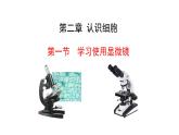 1.2.1 学习使用显微镜  课件2024-2025学年人教版（2024）生物七年级上册