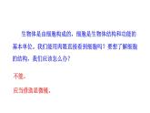 1.2.1 学习使用显微镜  课件2024-2025学年人教版（2024）生物七年级上册