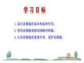 1.2.1 学习使用显微镜  课件2024-2025学年人教版（2024）生物七年级上册