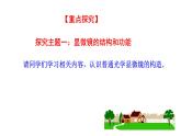 1.2.1 学习使用显微镜  课件2024-2025学年人教版（2024）生物七年级上册
