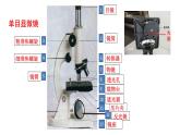 1.2.1 学习使用显微镜  课件2024-2025学年人教版（2024）生物七年级上册