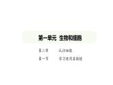 1.2.1 学习使用显微镜课件2024-2025学年人教版（2024）生物七年级上册