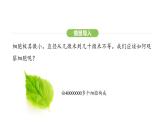 1.2.1 学习使用显微镜课件2024-2025学年人教版（2024）生物七年级上册