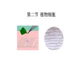 1.2.2 植物细胞   课件2024-2025学年人教版（2024）生物七年级上册