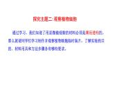 1.2.2 植物细胞   课件2024-2025学年人教版（2024）生物七年级上册